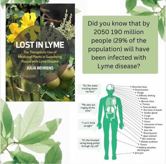 LOST IN LYME book by Julia Behrens