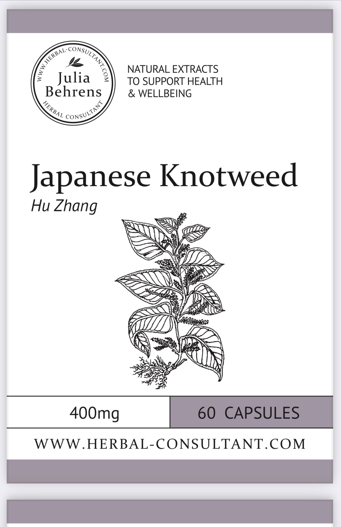 Japanese Knotweed capsules  by Julia Behrens