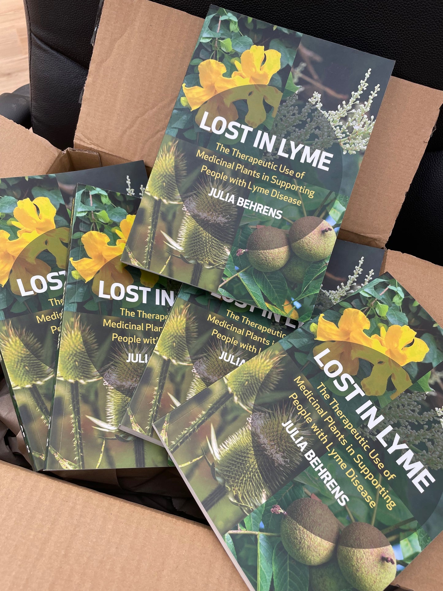 LOST IN LYME book by Julia Behrens